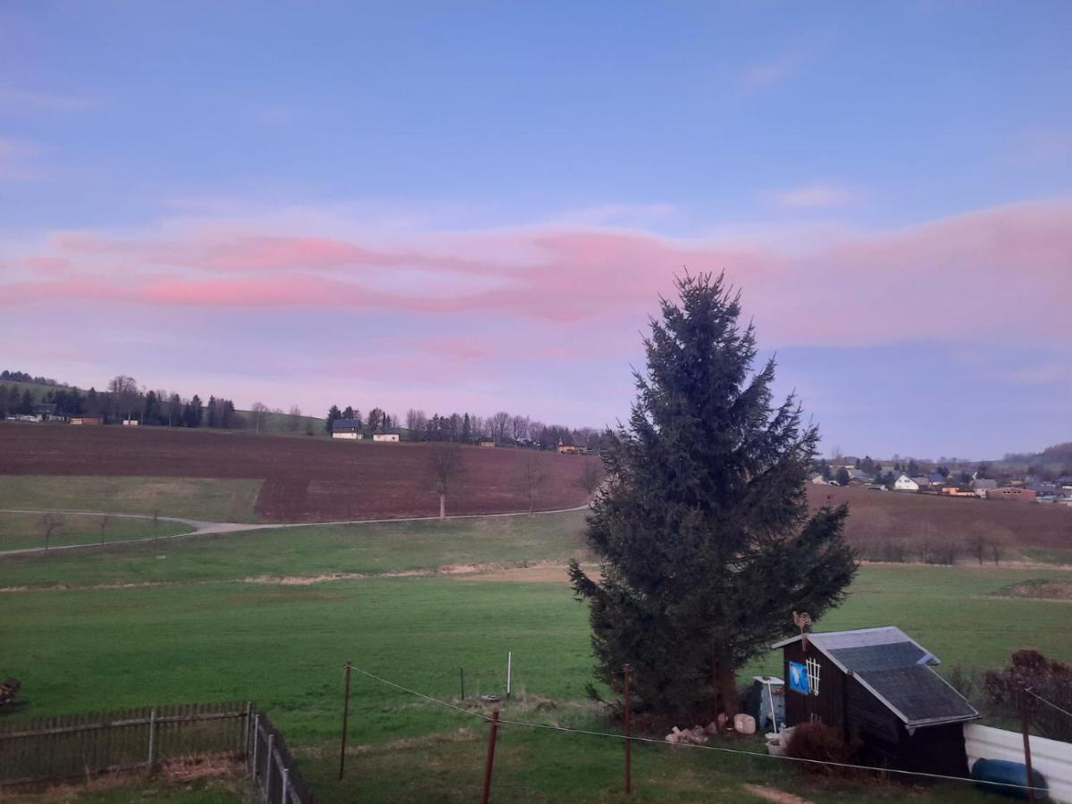 Ferienwohnung Wiesenblick In Seiffen Exterior foto